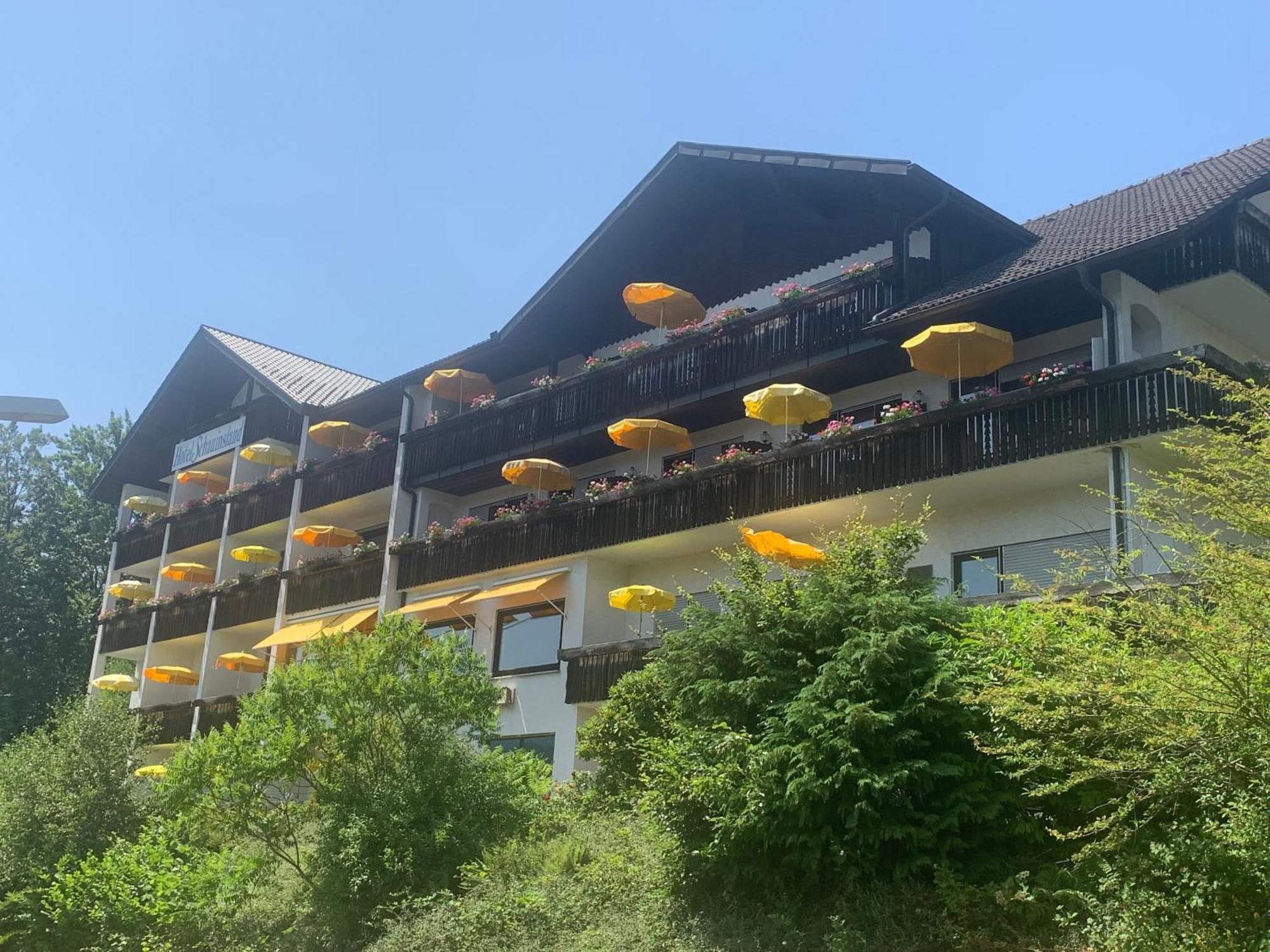 Hotel Schauinsland Bad Peterstal-Griesbach Bagian luar foto