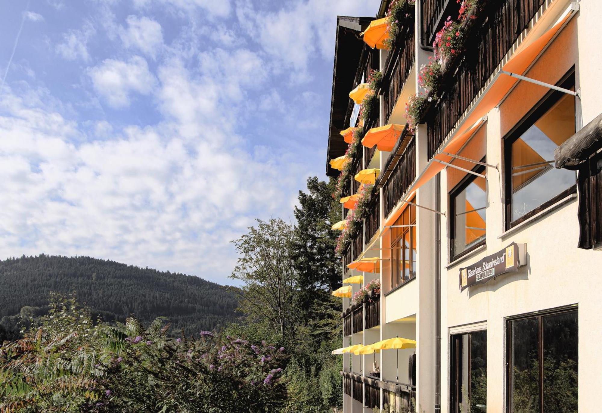 Hotel Schauinsland Bad Peterstal-Griesbach Bagian luar foto