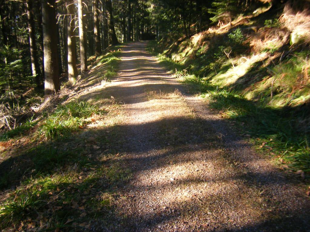 Hotel Schauinsland Bad Peterstal-Griesbach Bagian luar foto