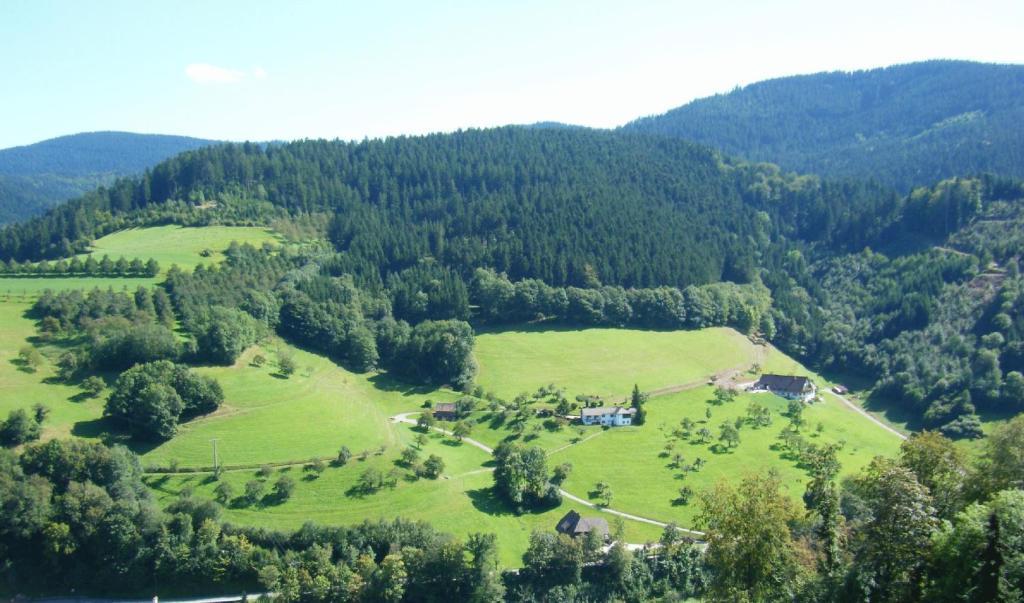 Hotel Schauinsland Bad Peterstal-Griesbach Ruang foto